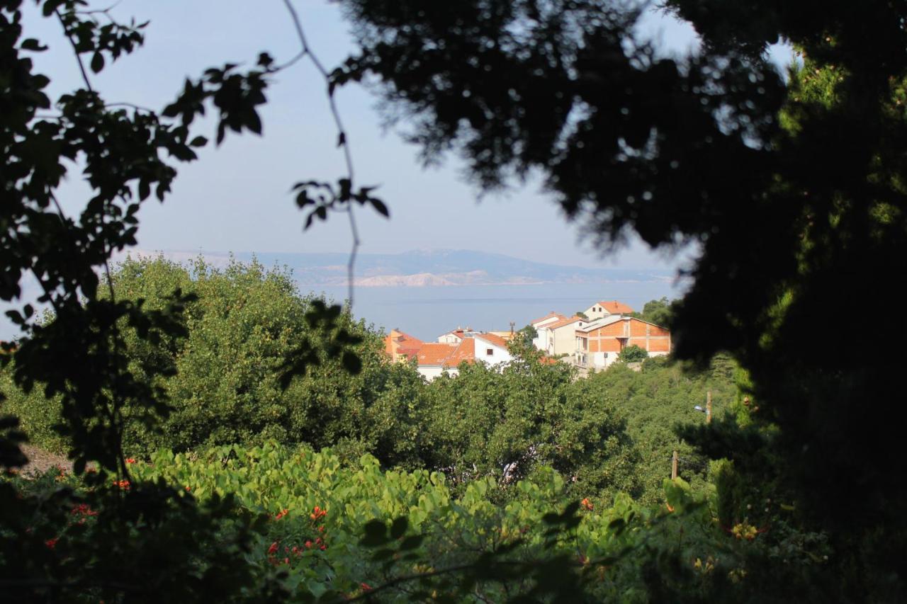 Apartments And Rooms With Parking Space Klenovica, Novi Vinodolski - 5590 Kültér fotó